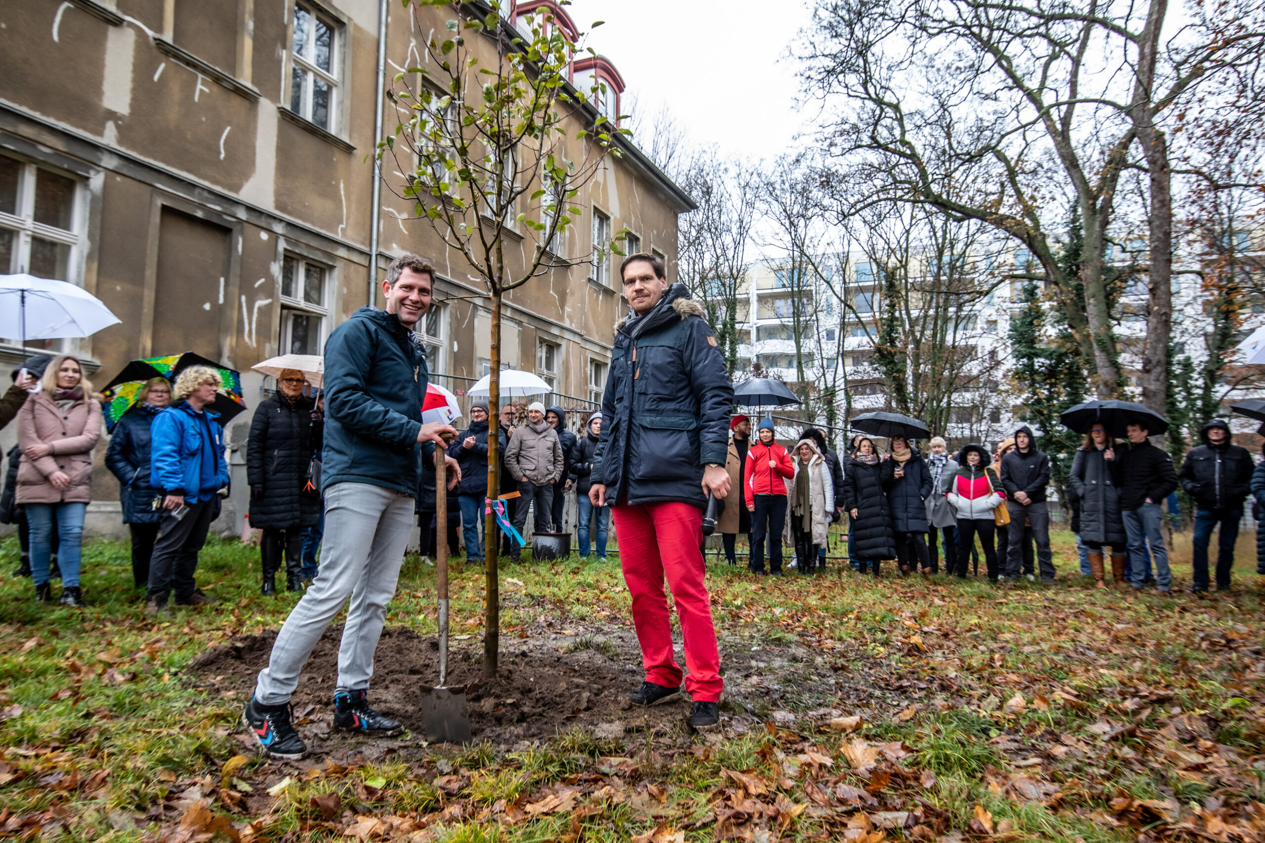 Vorstände von NEUES BERLIN pflanzen einen Baum im Garten